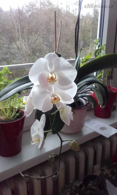 20170423_091322.jpg