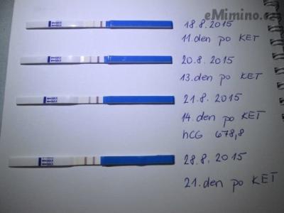 4817638.jpg