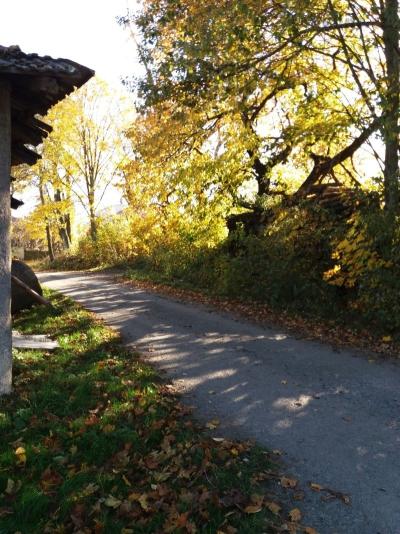 20171016_151336.jpg