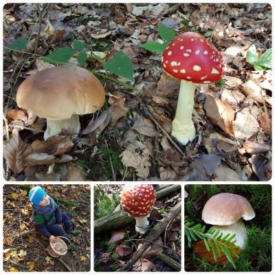 20171001_113159.jpg
