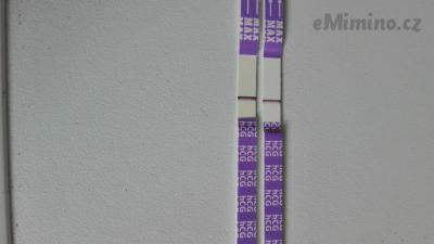 IMG_20170507_102536.jpg
