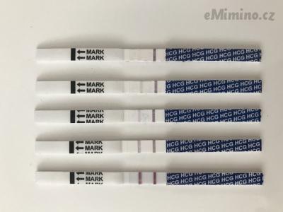 E7491D72-1201-4EA3-BE9C-BC03E5A79023.jpeg