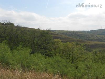 DSCN0618.JPG