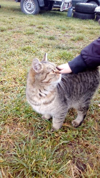 IMG_20171118_114608.jpg