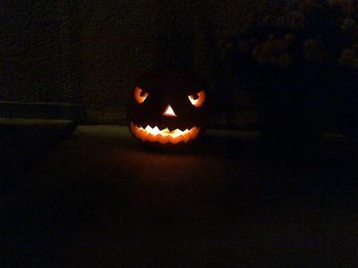 IMG-20161022-01031.jpg