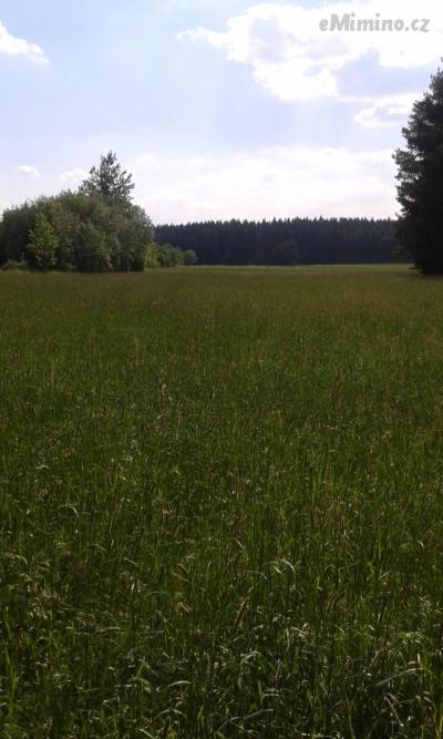 20170602_160751.jpg