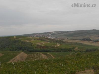 DSCN0644.JPG