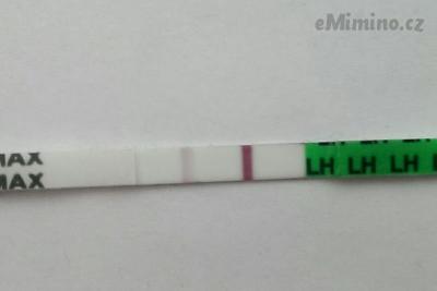 IMAG2840_1.jpg