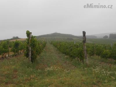 DSCN0676.JPG