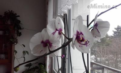 20170212_141618.jpg
