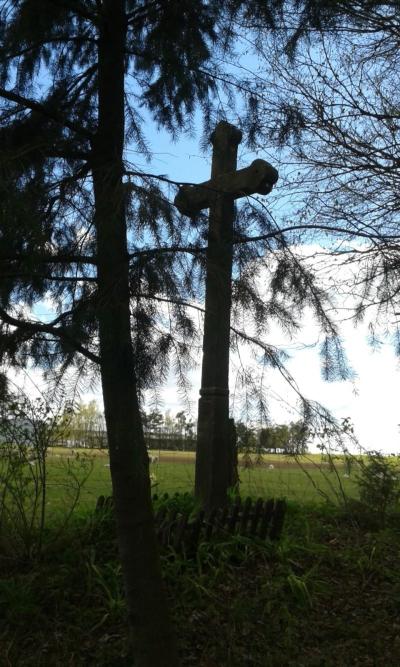 20170502_155259.jpg