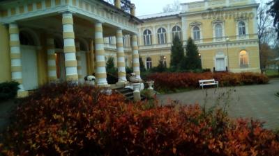 IMG_20171109_080818.jpg