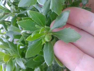 20170608_151410.jpg