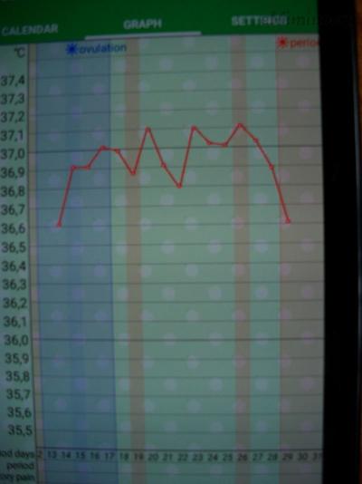 26.4..JPG