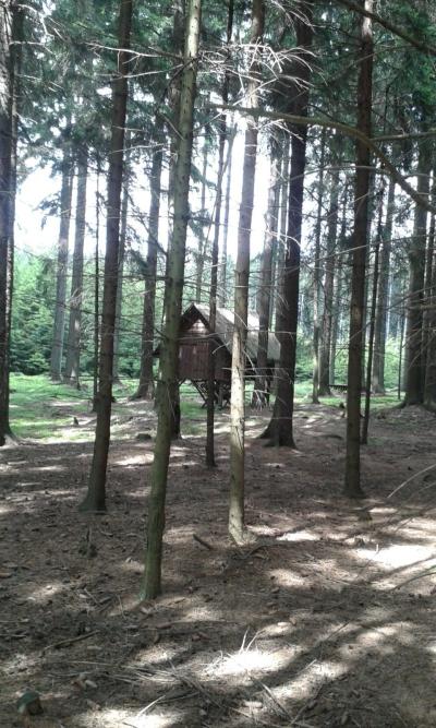 20170524_144143.jpg