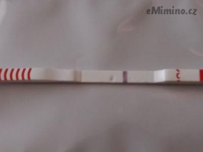 new1xedb60d2844173095211028ed9ac290fa.jpg