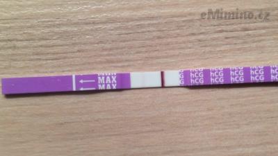 12 dpo_cd 26.JPG