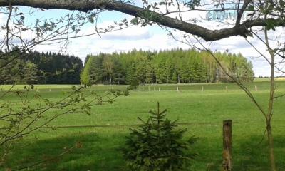 20170502_150958.jpg