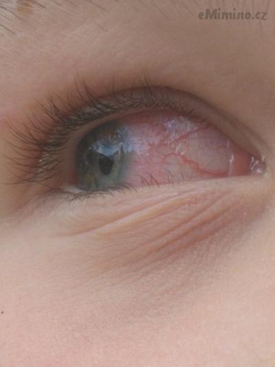 IMG_20170719_130359.jpg