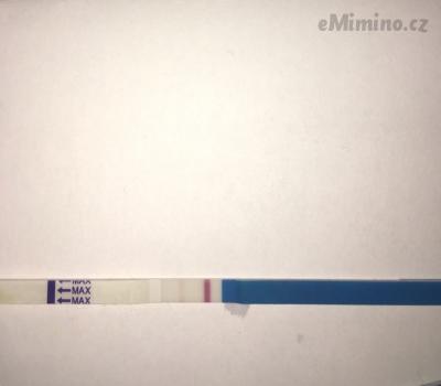 E534E576-191F-434F-B3C3-B8EEE545FFFF.jpeg