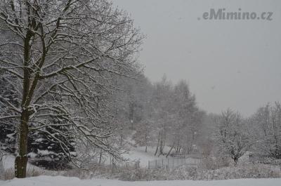 DSC_9785.JPG