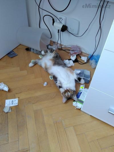 IMG_20170823_143404.jpg