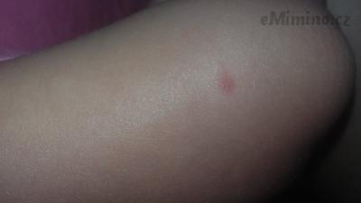 20170821_154338.jpg