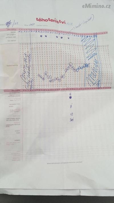 12.-1. mesic