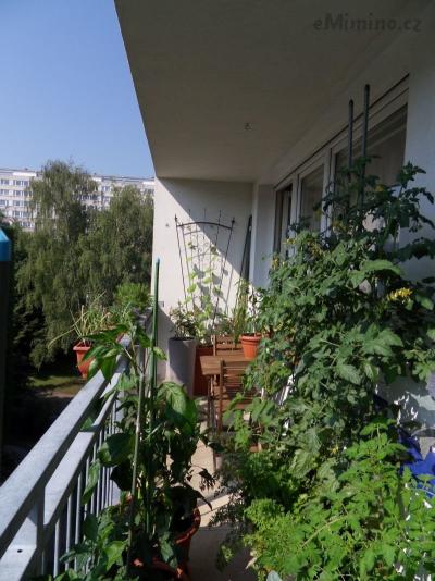 SDC12568.JPG
