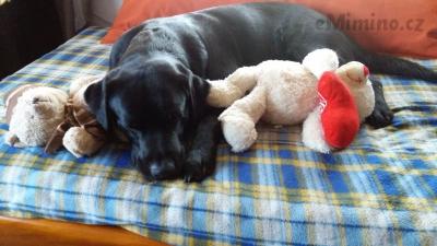 IMG-20170326-WA0002.jpeg