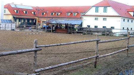 Ekologický statek na okraji Prahy: Zvířátka i skvělé jídlo