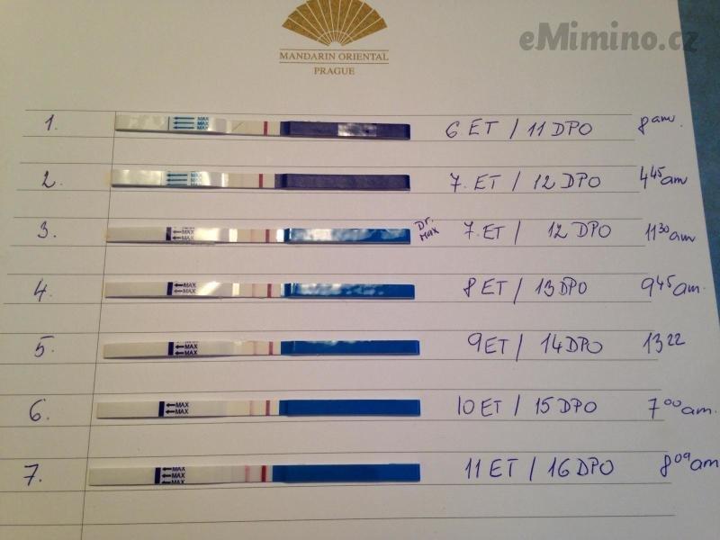 Kdy si můžu udělat test po IVF?