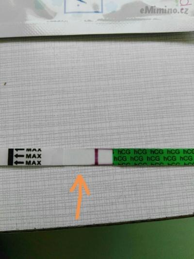 PART_1554191905836.jpeg