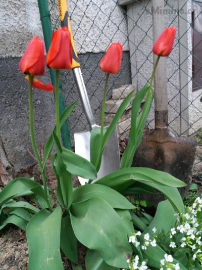 20190423_143528.jpg