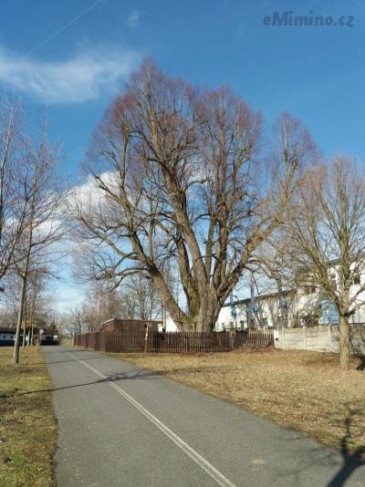 20190306_144525.jpg