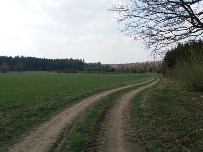 20190409_141606.jpg