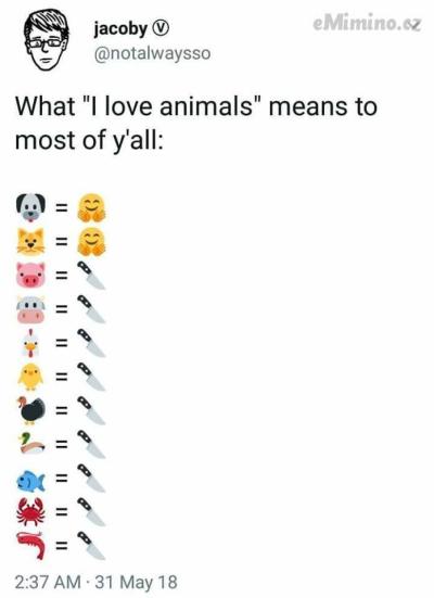 37838160_2129015774005039_8407601212966305792_n.jpg