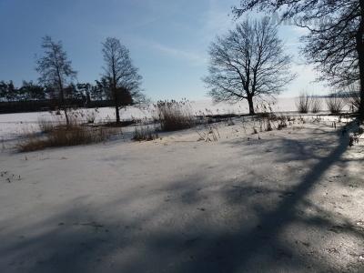 20190219_142408.jpg