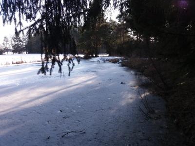20190219_144356.jpg