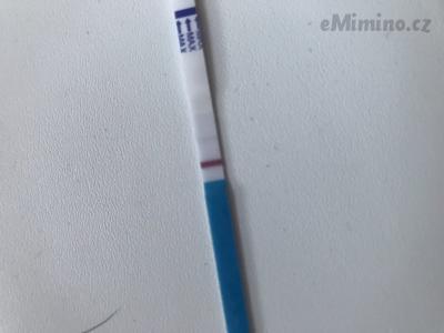 2F082390-6E33-425E-AA6B-C51BCC4BAB12.jpeg