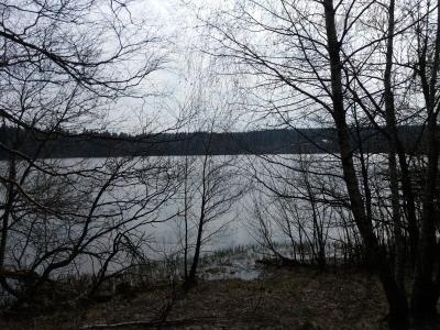20190411_150101.jpg