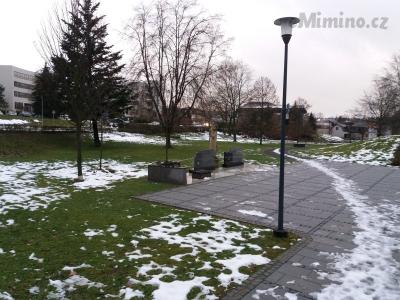 20181223_080835.jpg