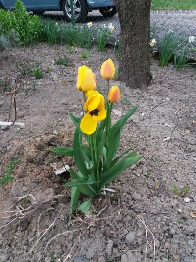20190423_143708.jpg
