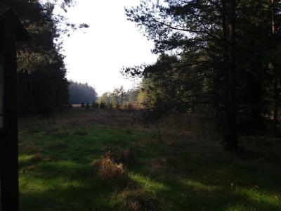 20181017_132739.jpg