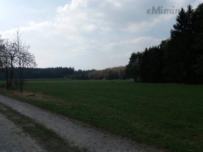 20190409_141139.jpg