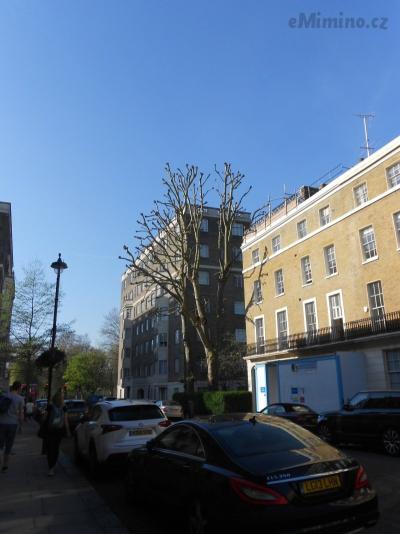 DSCN0704.JPG
