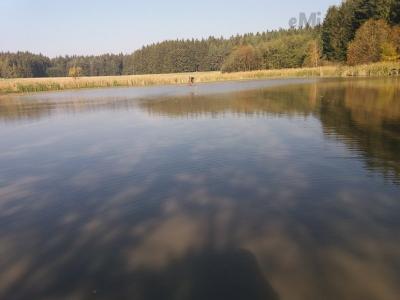 20181017_130031.jpg