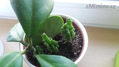 20180411_172554.jpg