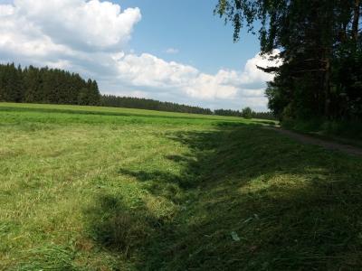 20180526_153138.jpg