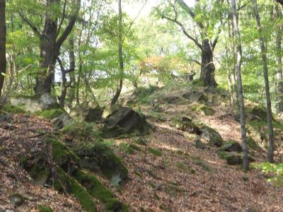 DSCN1389.JPG